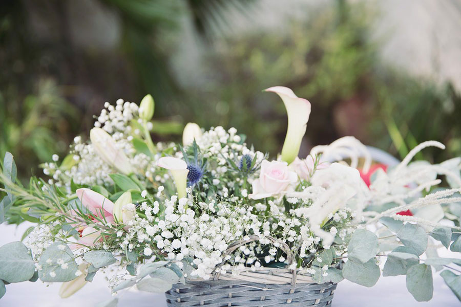 Sara & Ben ♡ Sheffield Botanical Gardens Wedding 6 SaraBen 5