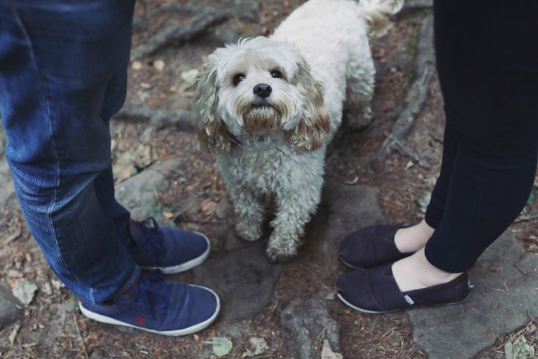 Emma & Sam ♡ Wyming Brook Engagement Photoshoot, Sheffield
