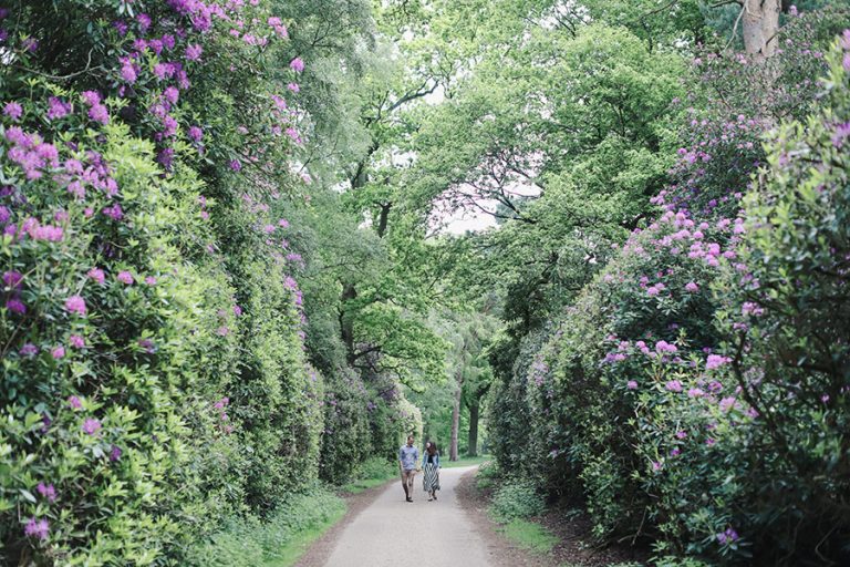 Niamh & Sean ♡ Sandringham Estate Engagement Photoshoot