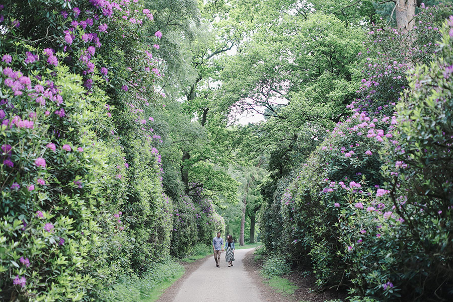 Sandringham Estate | Sandringham park | Sandringham engagement shoot photoshoot | Sasha Lee Photography