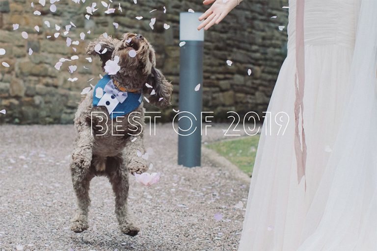 Best Natural Wedding Photography of 2019