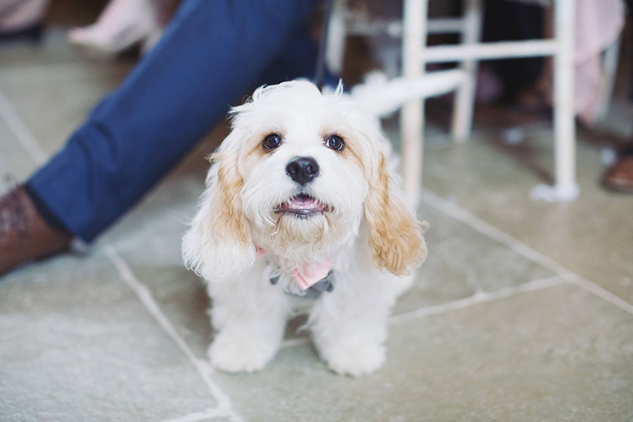 Alice & Luke Blog 23