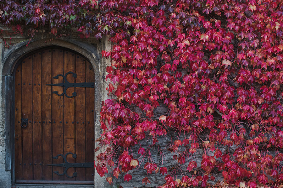 Cuki & Mateo ♡ Thornbury Castle, Bristol Wedding 3 Cuki & Mateo Blog 58