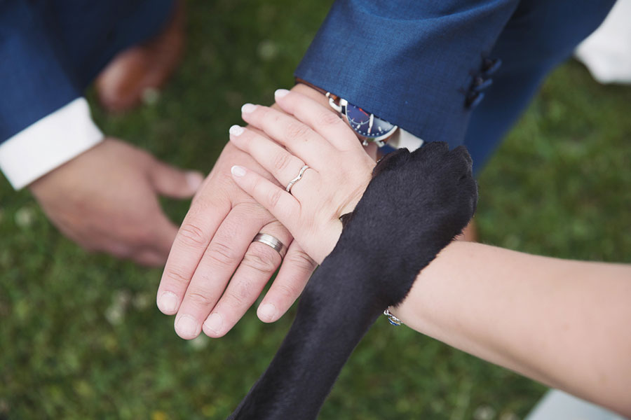 Dogs at Weddings 24