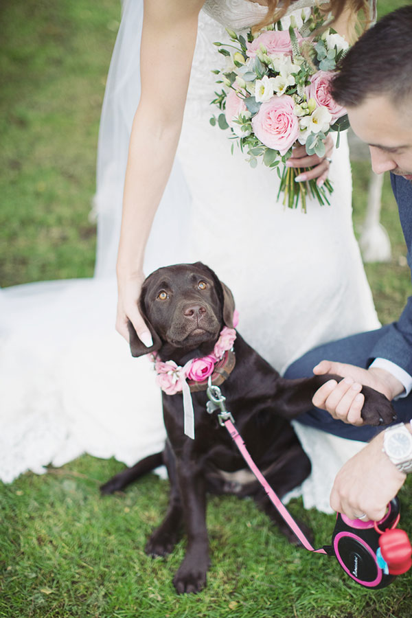 Dogs at Weddings 30