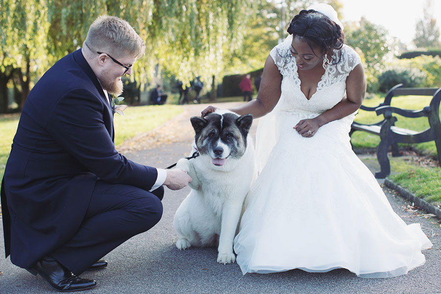 Dogs at Weddings 33