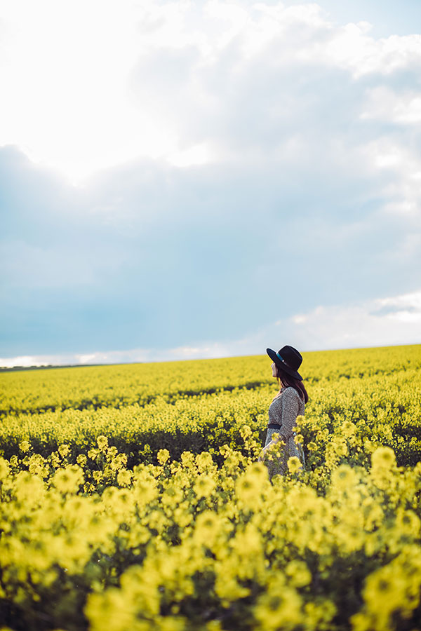 Rachael-Rapeseed 8