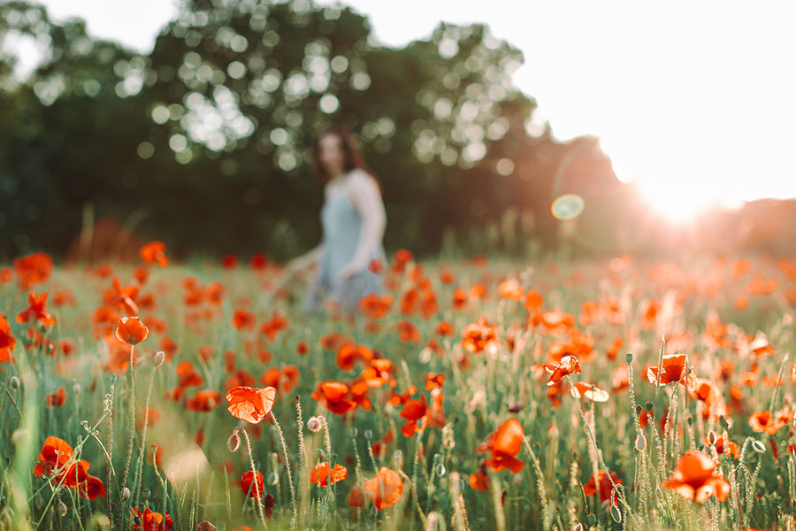 Poppy Field ♡ Photographing The Seasons | Part 3 10 Rach Poppy 2