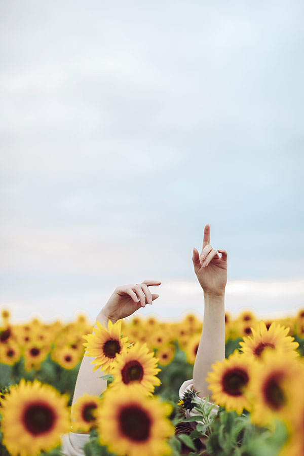 Sunflower Field ♡ Photographing The Seasons | Part 4 4 Rachael Sunflower 7