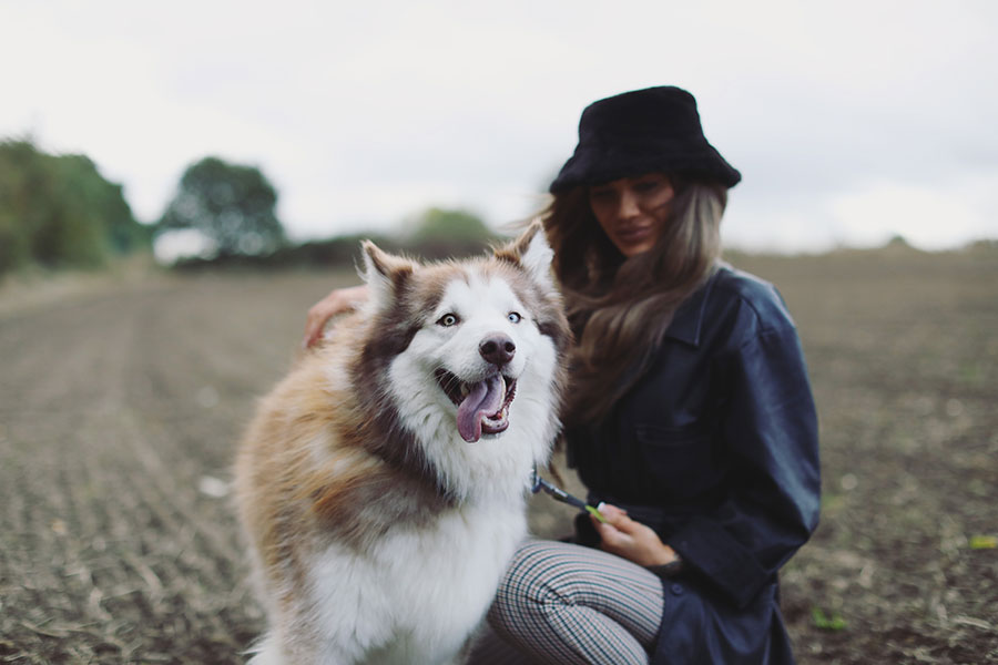 Charley & Kobie ♡ Pet Photography, Sheffield 5 Charley & Kobie 11