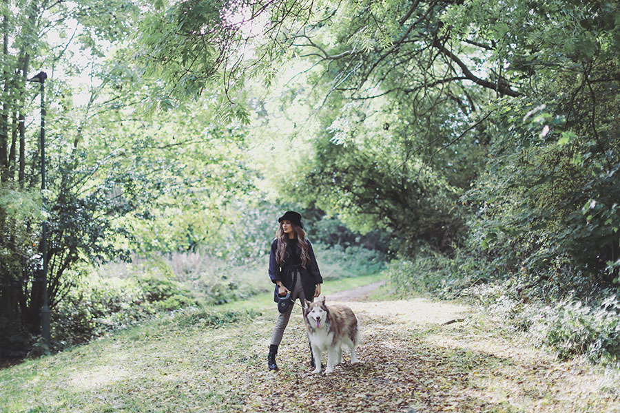 Charley & Kobie ♡ Pet Photography, Sheffield 8 Charley & Kobie 17