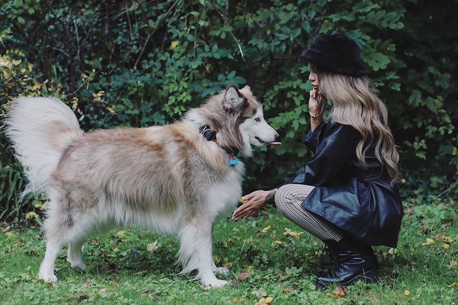 Charley & Kobie ♡ Pet Photography, Sheffield 6 Charley & Kobie 2