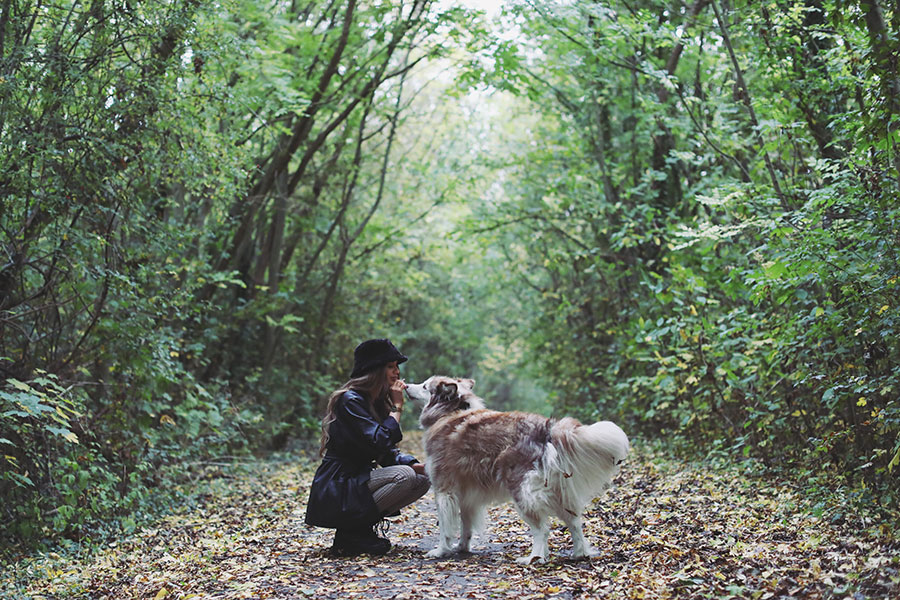 Charley & Kobie ♡ Pet Photography, Sheffield 2 Charley & Kobie 5