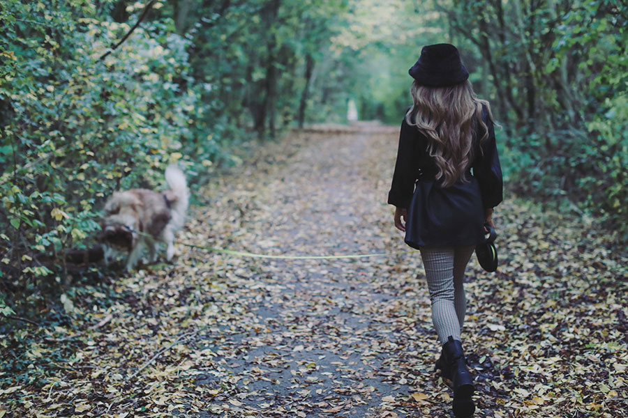 Charley & Kobie ♡ Pet Photography, Sheffield 12 Charley & Kobie 6
