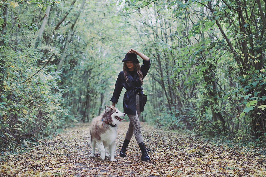Charley & Kobie ♡ Pet Photography, Sheffield 13 Charley & Kobie 7